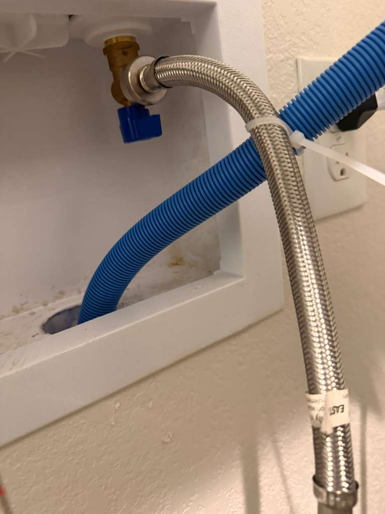 HKG Swiss Voile HKG0314 Chocolate Brown